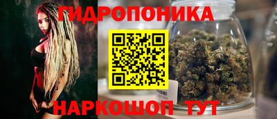 индика Пыть-Ях