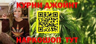 гидропоника Пугачёв