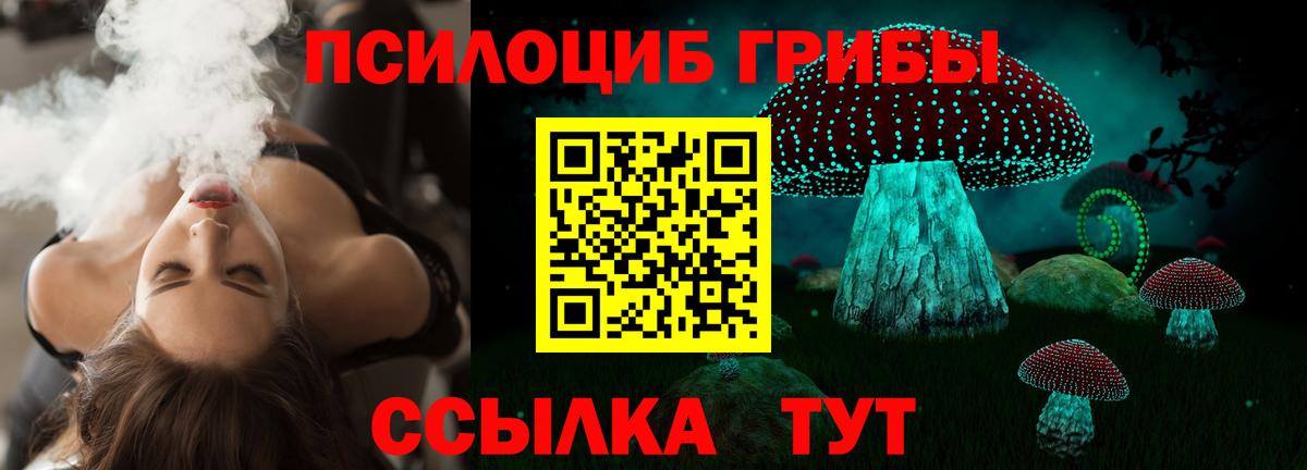 Химки  Псилоцибиновые грибы мухоморы  Вход с VPN  где купить наркоту  Галлюциногенные грибы GOLDEN TEACHER 